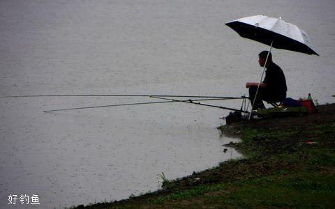 冬天雨水少如何钓鱼？冬天下雨怎么钓鱼？